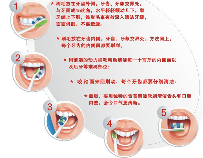 儿童口腔预防保健手册（医疗篇-青少年牙齿清洁）